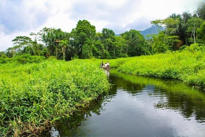 3-Day Manu Amazon Rainforest Private Tour — Wildlife, Hummingbirds & Clay Licks from Cusco