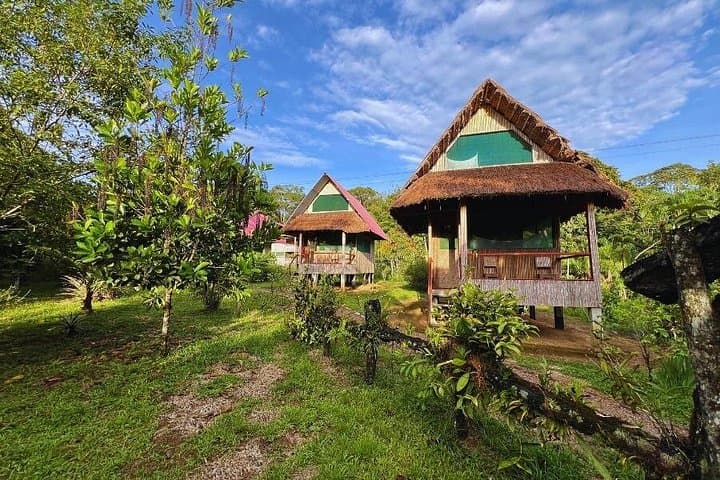 3-Day Manu Amazon Rainforest Private Tour — Wildlife, Hummingbirds & Clay Licks from Cusco photo 2