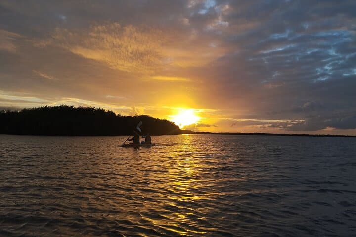 Kayak the Nichupté Lagoon: Guided Mangrove Tour in Cancún photo 2