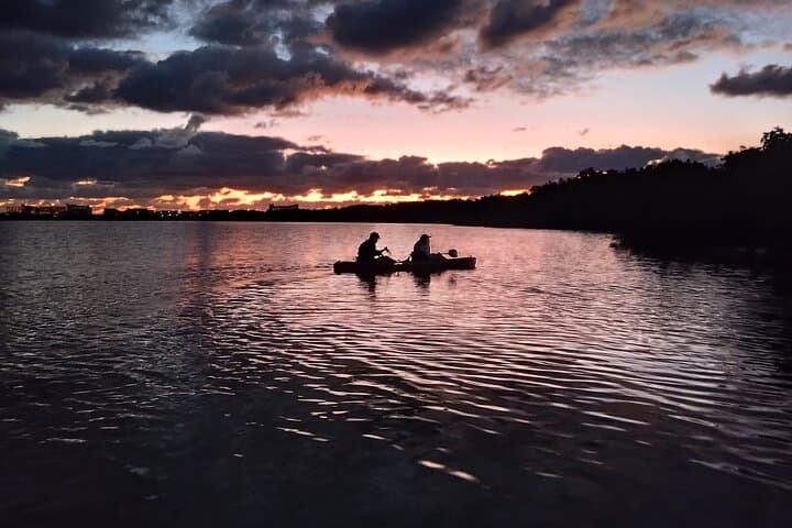Kayak the Nichupté Lagoon: Guided Mangrove Tour in Cancún photo 4