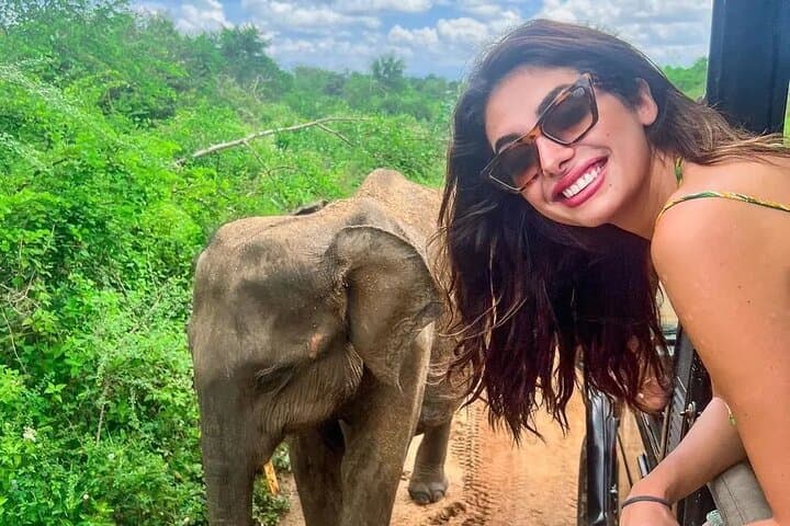Sri Lanka 8-Day Cultural & Wildlife Circuit — Sigiriya to Mirissa