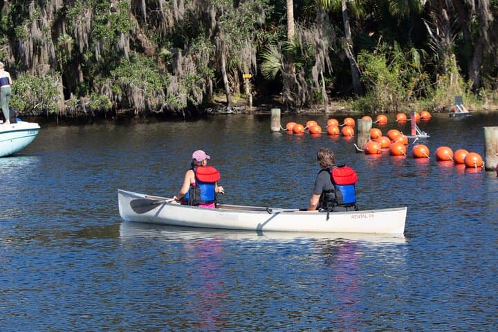 Explore Wildlife and History on the St. Johns River Cruise at Blue Spring State Park photo 3