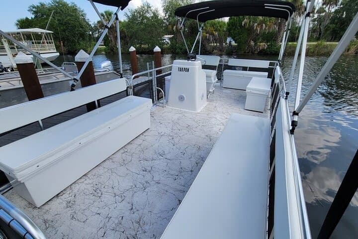 Captain Your Day: Pontoon Pontoon Boat Rental & Manatee Viewing in Crystal River photo 3