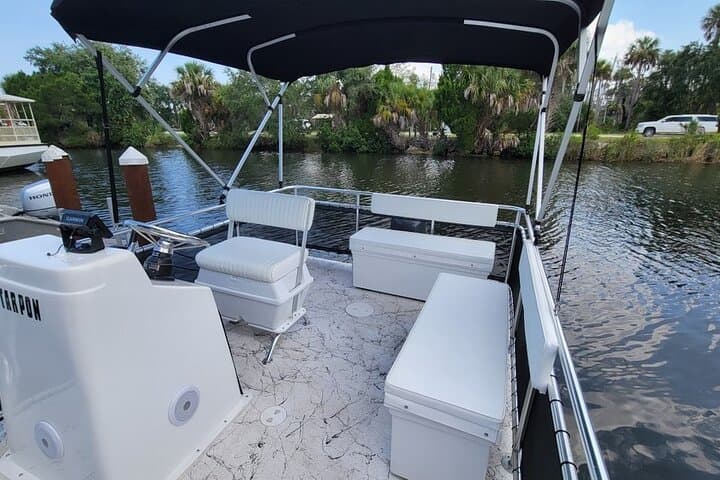 Captain Your Day: Pontoon Pontoon Boat Rental & Manatee Viewing in Crystal River