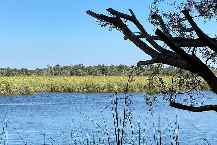 Captain Your Day: Pontoon Pontoon Boat Rental & Manatee Viewing in Crystal River photo 4