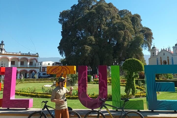 Cycling to the Tule Tree and Oaxaca’s Gastronomic Market