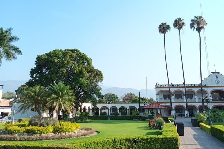 Cycling to the Tule Tree and Oaxaca’s Gastronomic Market photo 3