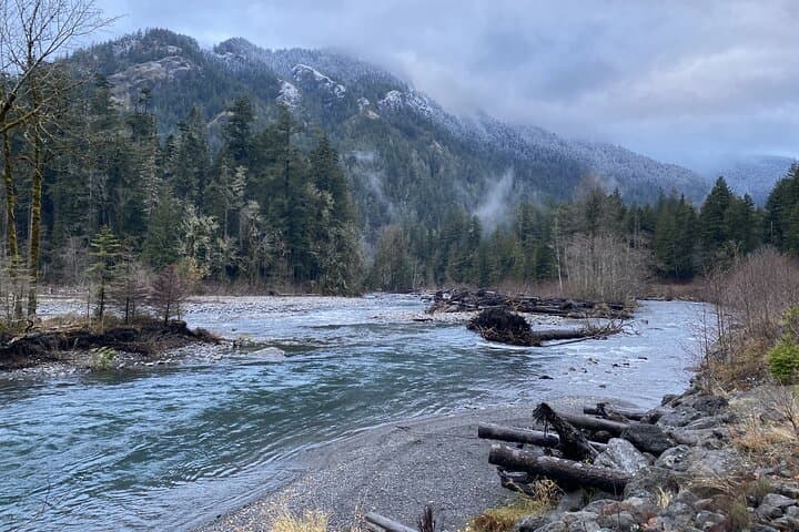 Half-Day Guided Tour: Lake Crescent & Marymere Falls in Olympic National Park photo 2