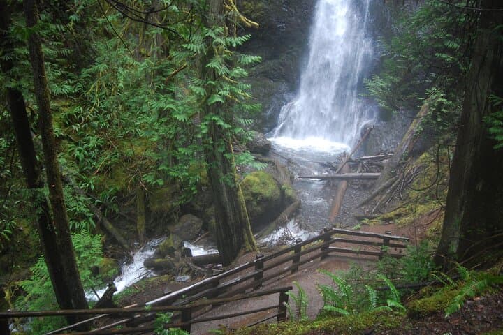 Half-Day Guided Tour: Lake Crescent & Marymere Falls in Olympic National Park photo 5