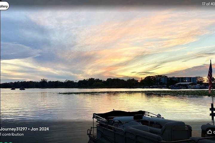 Winter Haven Pontoon Lake Tours: Waterski History, Wildlife & Lakeside Dining photo 5