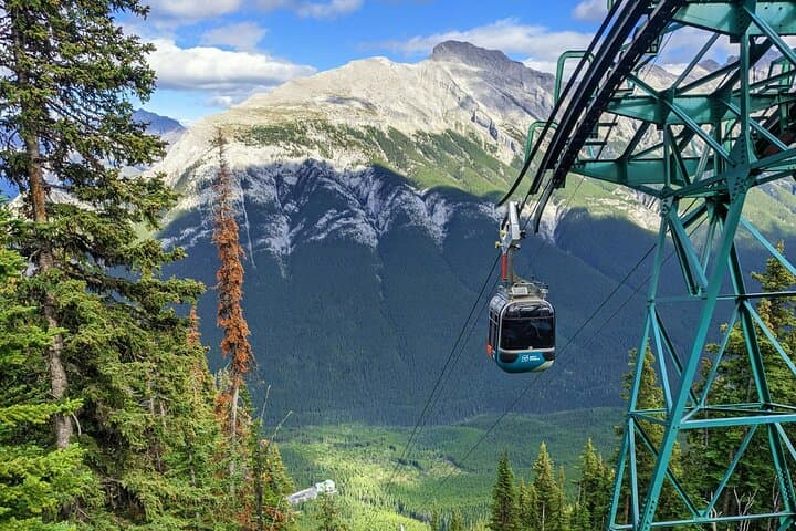 Banff Gondola, Johnston Canyon & Cave and Basin Day Tour from Calgary