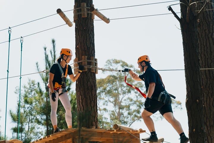 Canberra Tree Ropes Course at Majura Pines — High-Wire Adventure & Ziplines photo 3