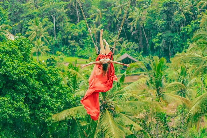 Ubud Full-Day Highlights: Monkey Forest, Giant Swing, Rice Terraces & Waterfall