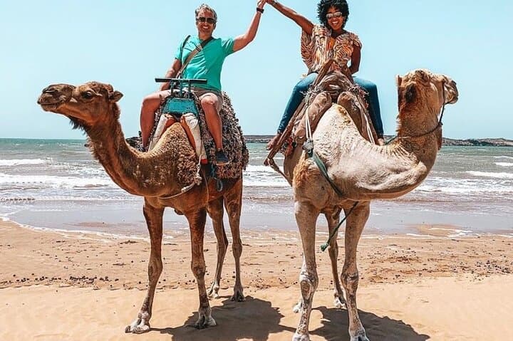 Agadir Camel Ride & Berber BBQ: 2-Hour Dune Trek to Oued Souss photo 4