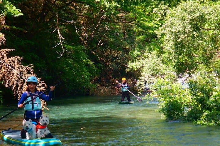 SUP Downriver on Japan’s Niyodo River — Chase the Niyodo Blue photo 3