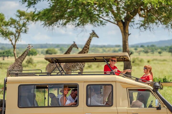2-Day Mikumi Safari from Zanzibar — Wildlife, Masai Village & Hippo Pool photo 2