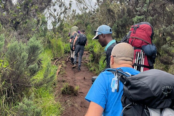 Climb Kilimanjaro: 6-Day Marangu Route Guide from Moshi to Uhuru Peak photo 2
