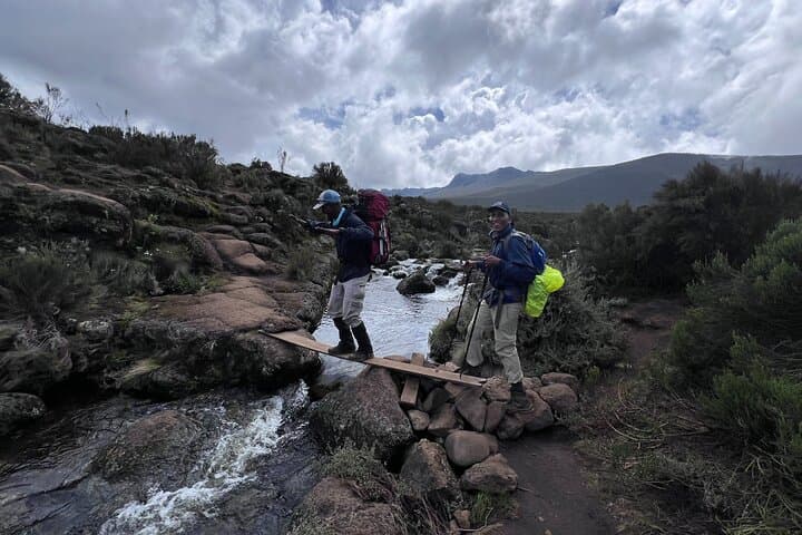 Climb Kilimanjaro: 6-Day Marangu Route Guide from Moshi to Uhuru Peak photo 3