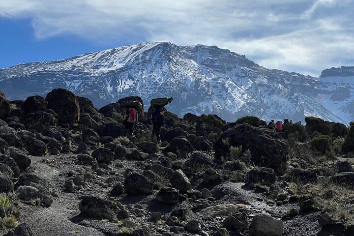 Climb Kilimanjaro: 6-Day Marangu Route Guide from Moshi to Uhuru Peak photo 4