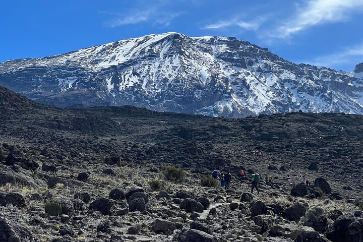 Climb Kilimanjaro: 6-Day Marangu Route Guide from Moshi to Uhuru Peak photo 5