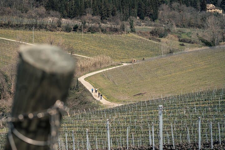 Chianti Classico E‑Bike Adventure with Farm Tasting and Lunch from Florence photo 4