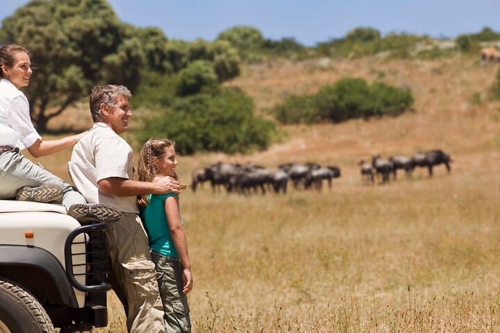 3-Day Budget Safari: Tarangire, Ngorongoro & Lake Manyara from Arusha photo 2