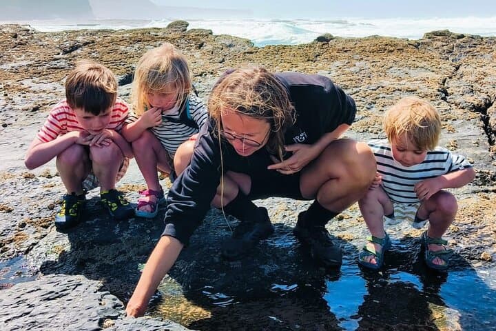 Monte Clérigo Tide Pool Safari: Guided Tidepool Walk in Costa Vicentina photo 6