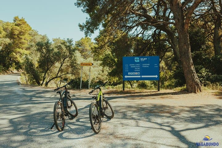Dubrovnik to Mljet: Speedboat and E‑Bike Day Trip to Mljet National Park photo 5