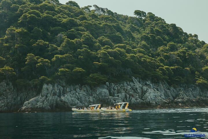 Dubrovnik to Mljet: Speedboat and E‑Bike Day Trip to Mljet National Park photo 2