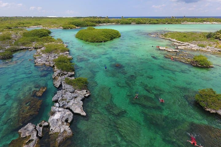Yalku Lagoon and Cenote Express — Snorkel Two Connected Ecosystems Near Cozumel