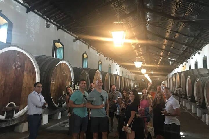 Arrábida & Wine Experience Private Tour — Arrábida Natural Park and Setúbal Wine Tasting photo 3