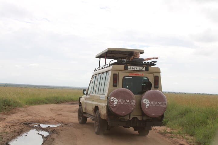2-Day Luxury Tanzania Safari — Tarangire & Ngorongoro Crater Highlights