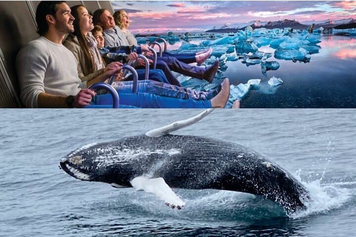 Whale Watching and FlyOver Iceland: Reykjavík’s Coastal Adventure photo 2