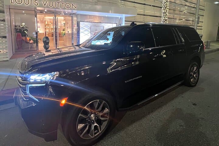 3-Hour Los Angeles Luxury Tour: Hollywood, Beverly Hills & LAX Transfer photo 4