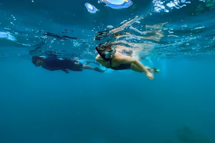 Private Turtle Snorkel & Photography Tour — Rarotonga photo 6