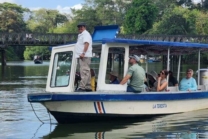 Tortuguero Canal Boat Tour from Puerto Limón — Rainforest Canals & Wildlife photo 4