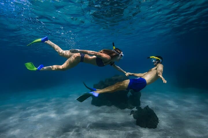 Olowalu Kayak and Turtle Town Snorkel with Whale Watching — Guided Tour on Maui photo 2