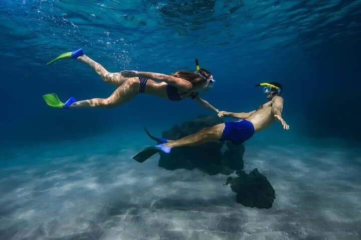Turtle Town Snorkel in Wailea — Snorkel with Sea Turtles + Free Photos