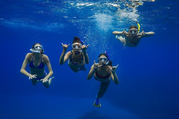 Turtle Town Snorkel in Wailea — Snorkel with Sea Turtles + Free Photos photo 2