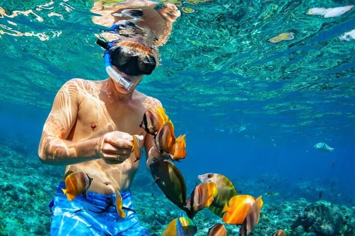 Rose Island Snorkel & Turtle Visit: Half-Day Nassau Getaway from Nassau