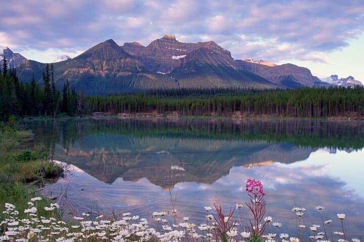 2-3 Day Banff & Icefields Tour: Lake Louise, Moraine Lake, Johnston Canyon photo 5
