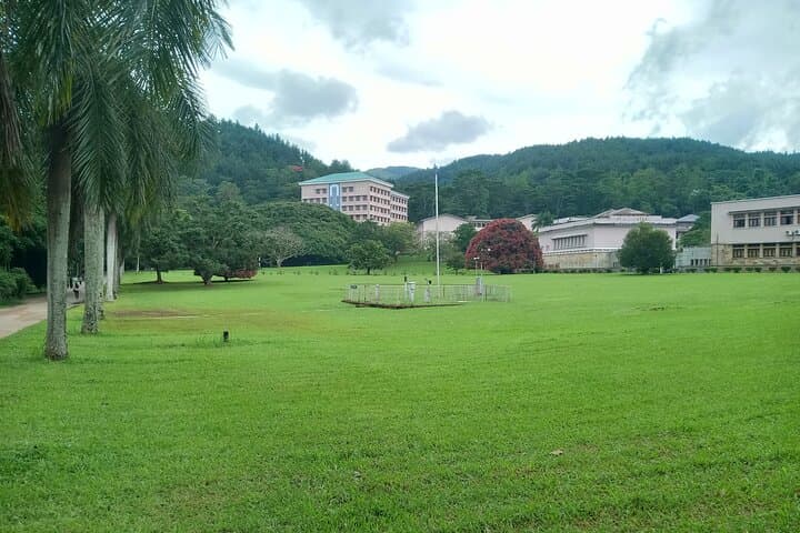 Half-Day Tuk-Tuk Tour of University of Peradeniya: Kandy Campus History, Nature & Culture photo 3