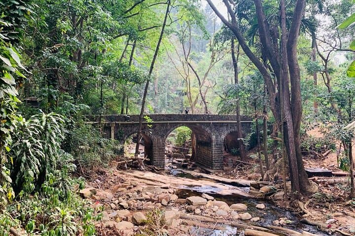 Half-Day Tuk-Tuk Tour of University of Peradeniya: Kandy Campus History, Nature & Culture photo 5