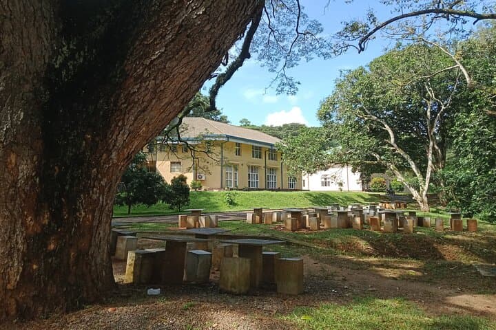 Half-Day Tuk-Tuk Tour of University of Peradeniya: Kandy Campus History, Nature & Culture photo 4