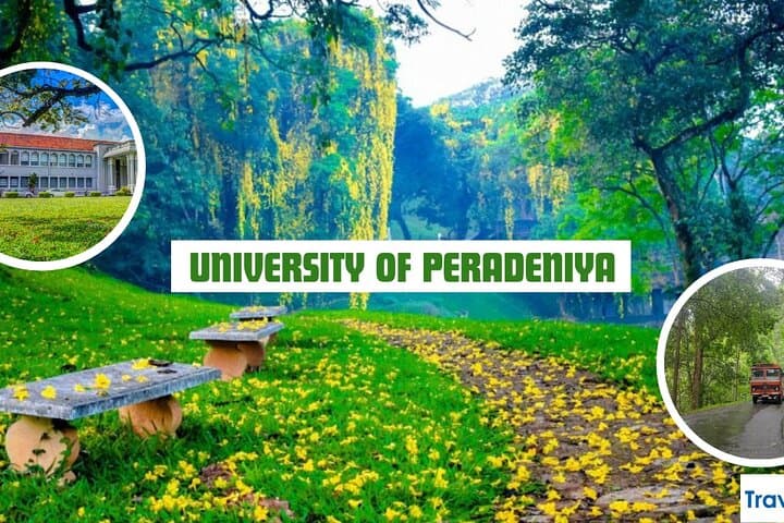 Half-Day Tuk-Tuk Tour of University of Peradeniya: Kandy Campus History, Nature & Culture