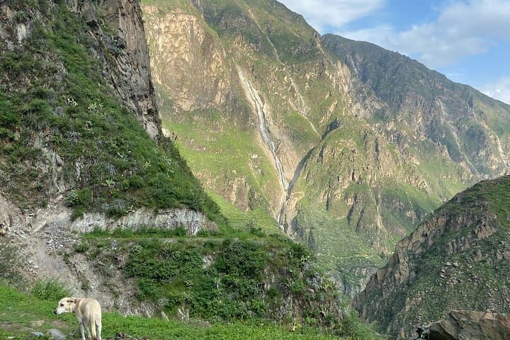 Private 3-Day Colca Canyon Trek & Andean Ceremony photo 5