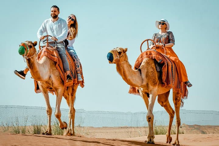 Dubai Morning Desert Safari: Dune Bashing, Sandboarding & Camel Farm Visit photo 3