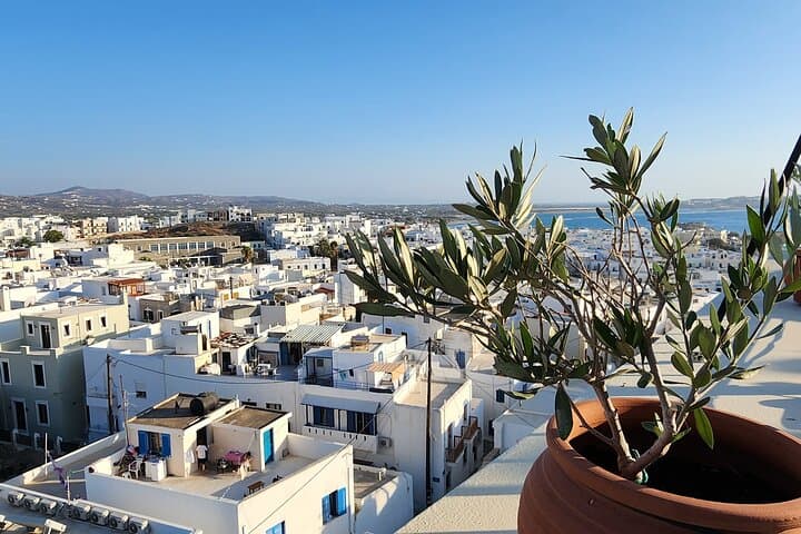 Naxos Sunset Walking Tour — Portara, Kastro & Citron Tasting photo 6