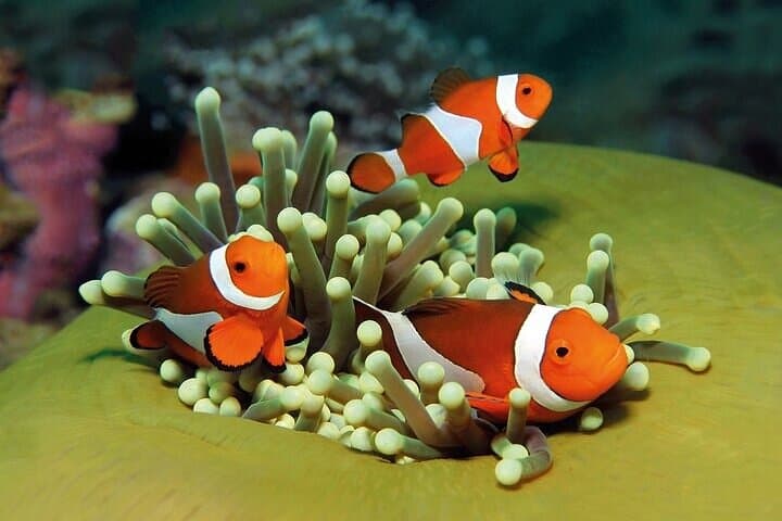 Palma Aquarium with Transfer: Full-Day Marine Experience in Mallorca