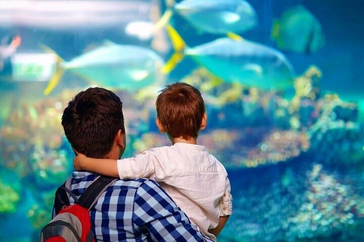 Palma Aquarium with Transfer: Full-Day Marine Experience in Mallorca photo 5